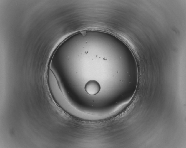 X0000111790948200908061134