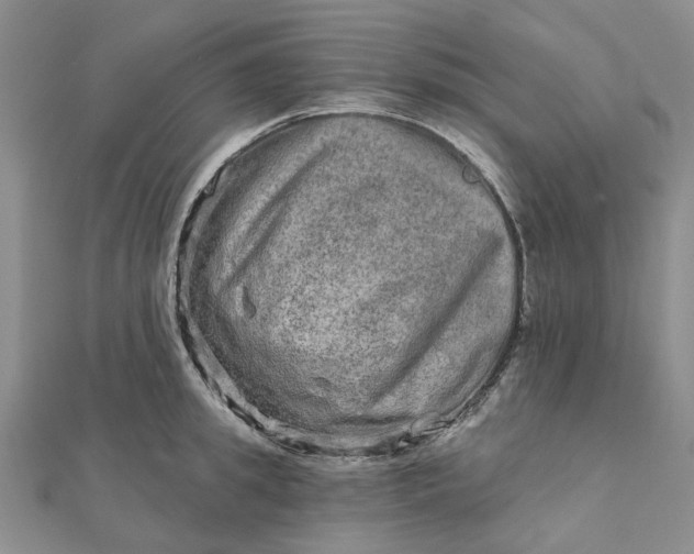 X0000111790949200908061134