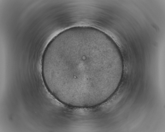 X0000111790950200908061134