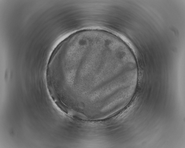 X0000111790951200908061134