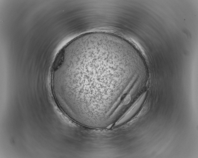 X0000111790952200908061134