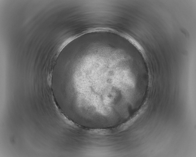 X0000111790953200908061134