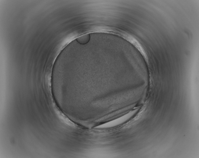 X0000111790954200908061134