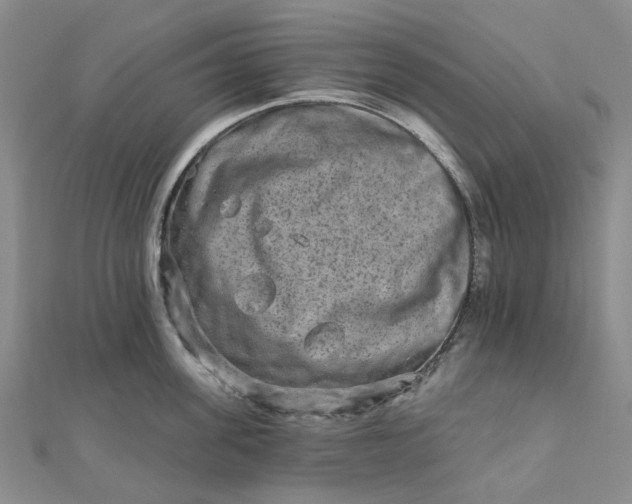 X0000111790955200908061134