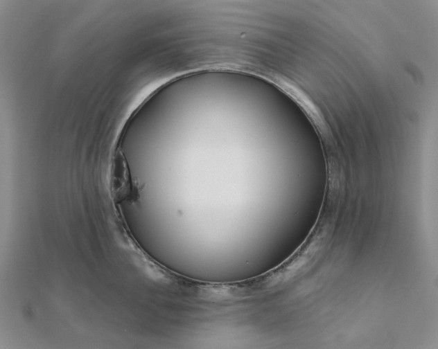 X0000111790956200908061134