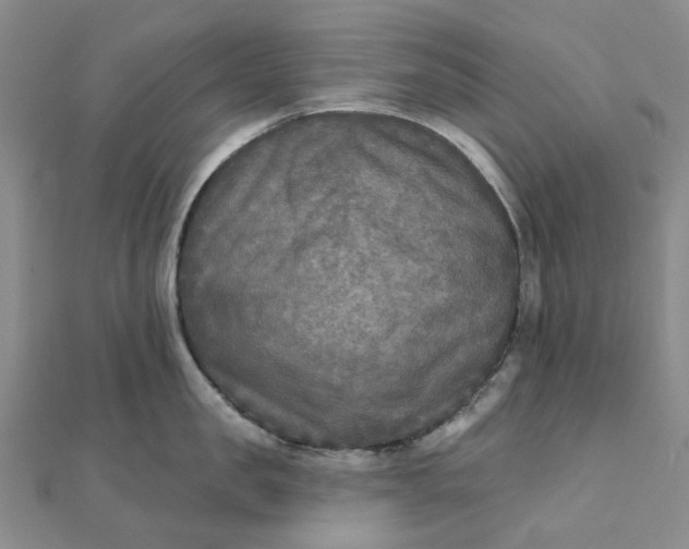 X0000111790957200908061134