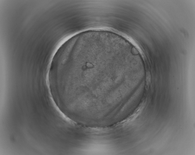 X0000111790959200908061134