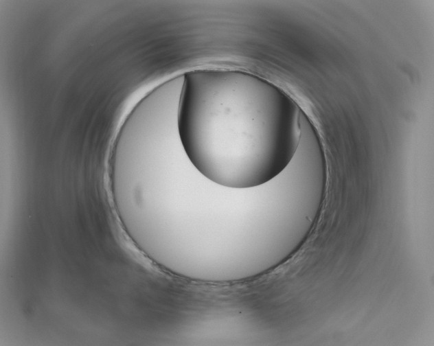 X0000111790960200908061134