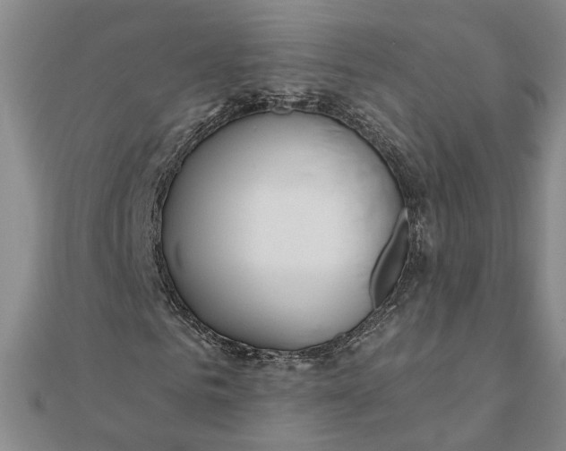 X0000111790961200908061133