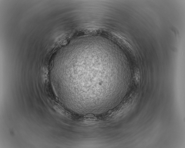 X0000111790964200908061133