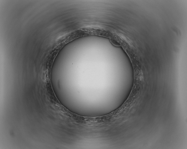 X0000111790965200908061133