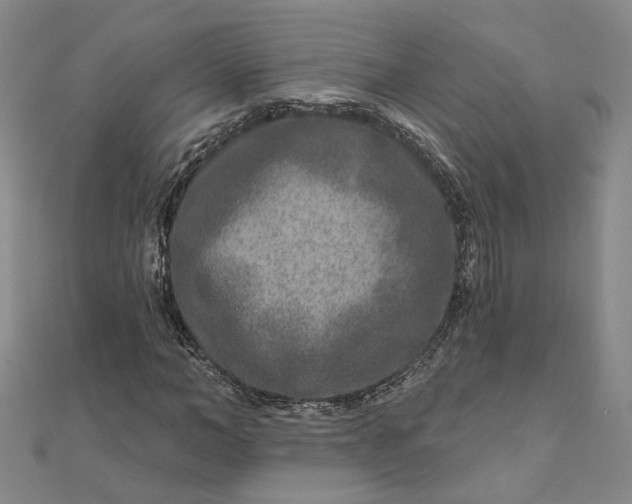 X0000111790966200908061133