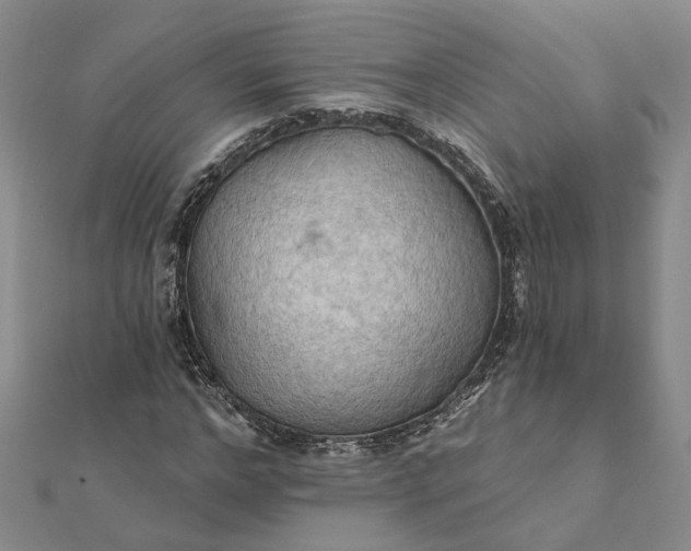 X0000111790968200908061133