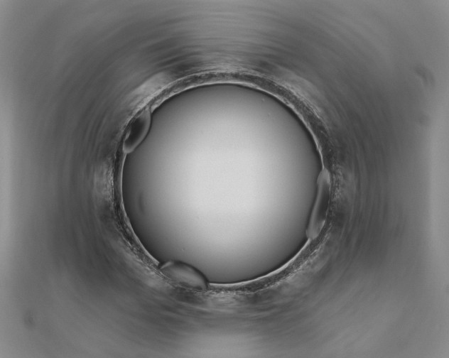 X0000111790969200908061133