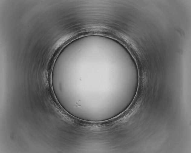 X0000111790970200908061133