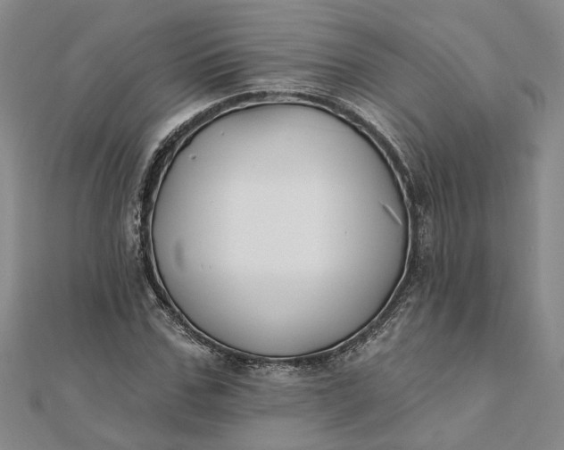 X0000111790971200908061133