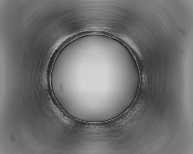 X0000111790972200908061133