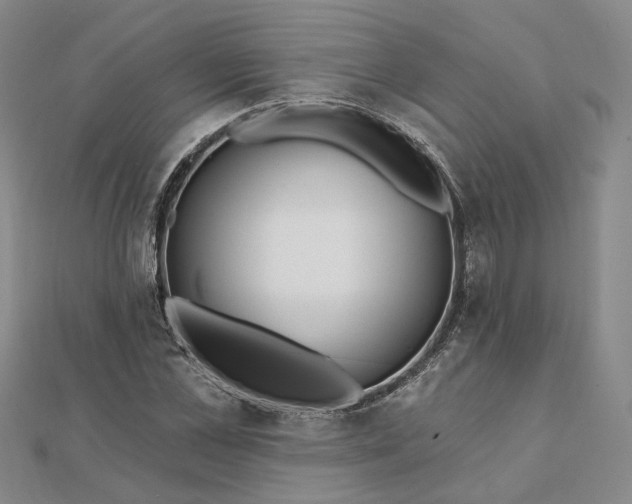 X0000111790973200908061133