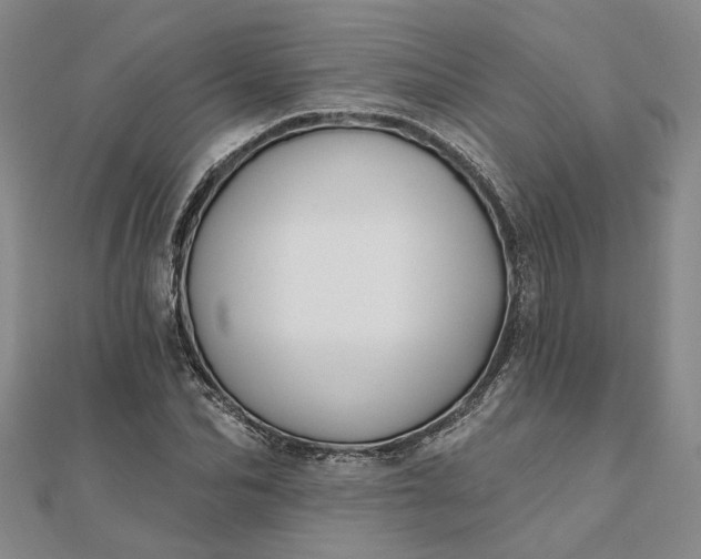 X0000111790974200908061133