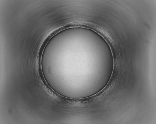 X0000111790976200908061133