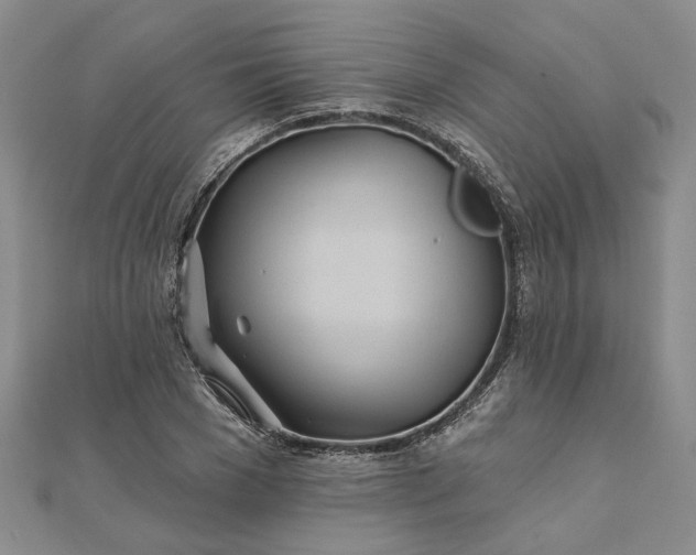 X0000111790977200908061133