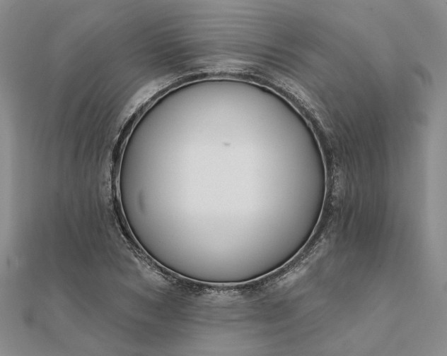 X0000111790978200908061133