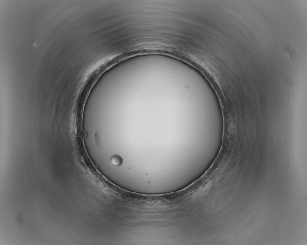 X0000111790979200908061133