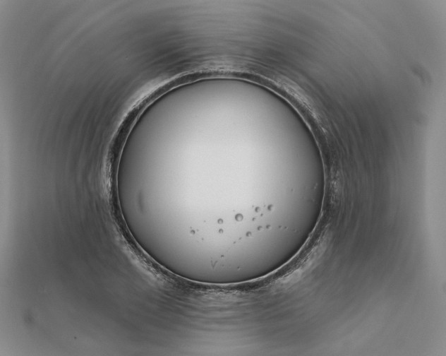 X0000111790981200908061133