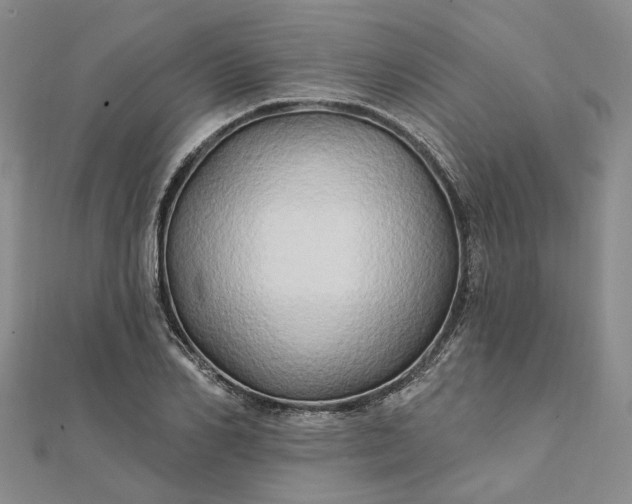 X0000111790982200908061133