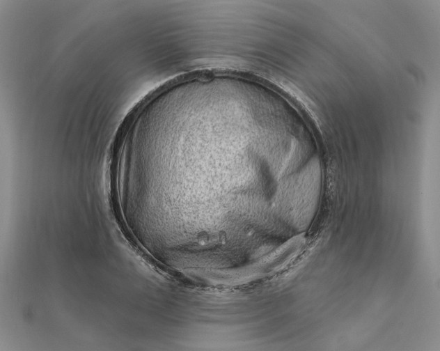 X0000111790983200908061133