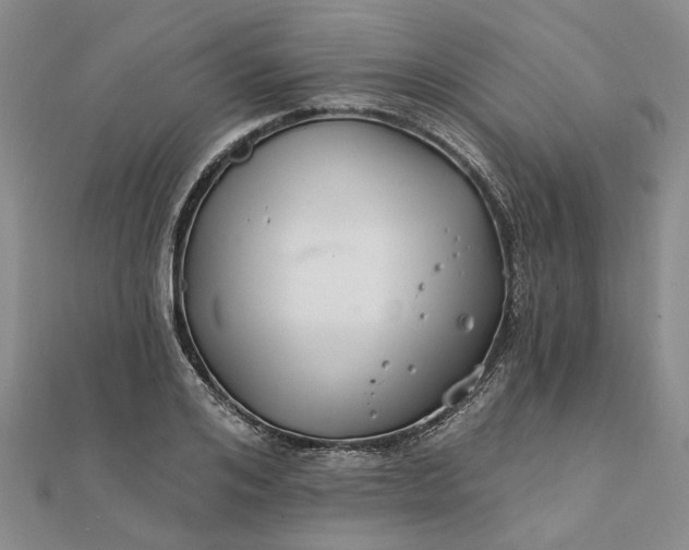 X0000111790984200908061133