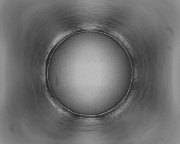 X0000111790986200908061133