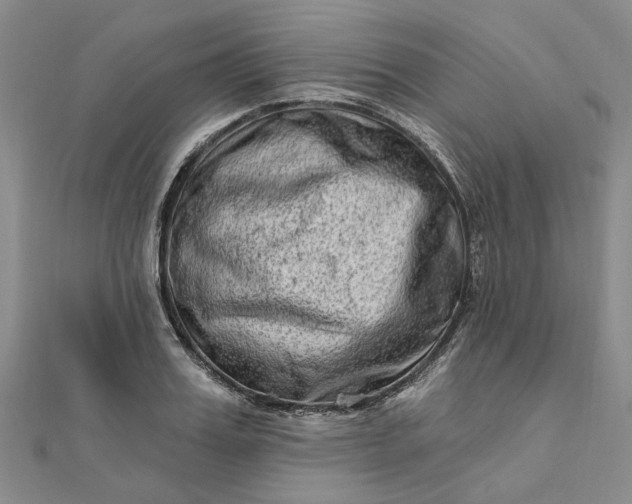 X0000111790987200908061133