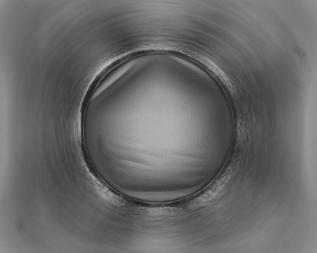 X0000111790988200908061133