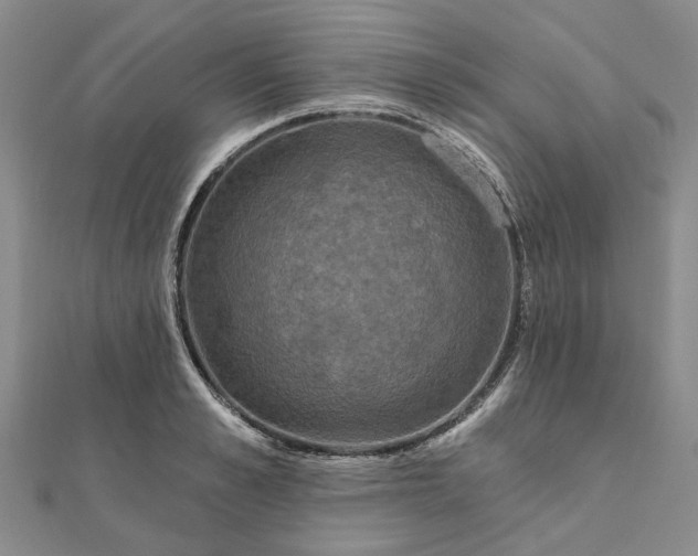 X0000111790989200908061133