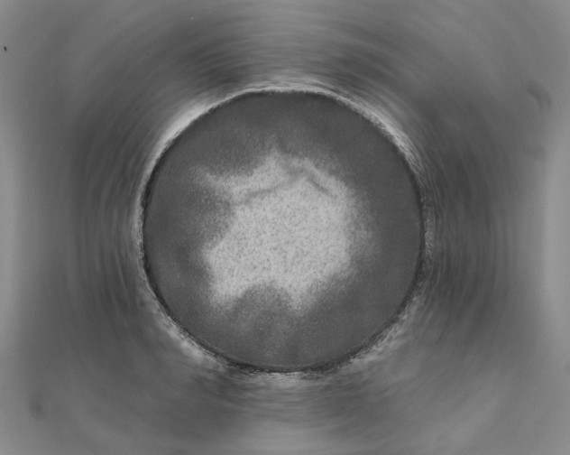 X0000111790990200908061133