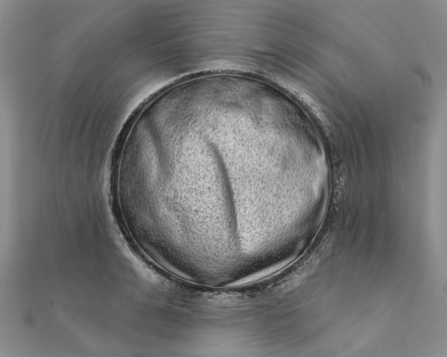 X0000111790991200908061133