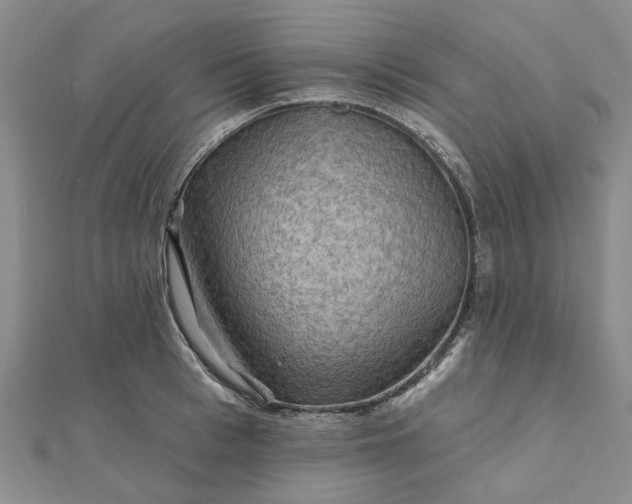 X0000111790993200908061133