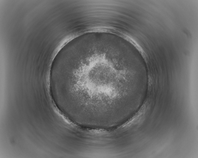 X0000111790994200908061133