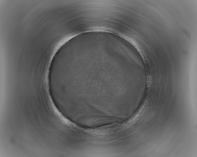 X0000111790995200908061133