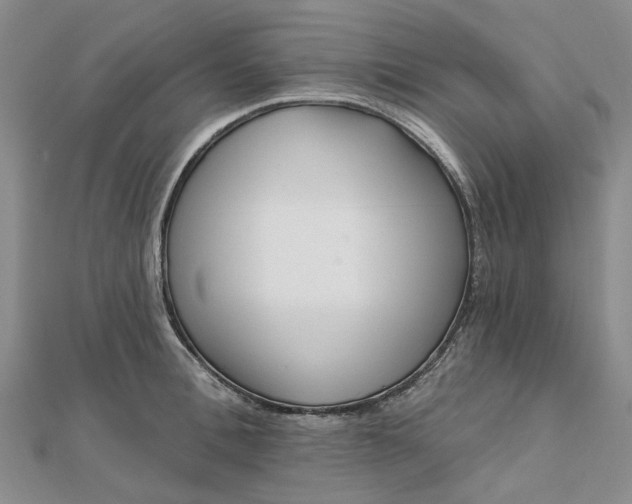 X0000111790996200908061133