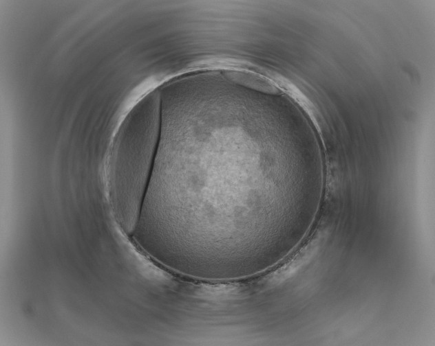 X0000111790997200908061133