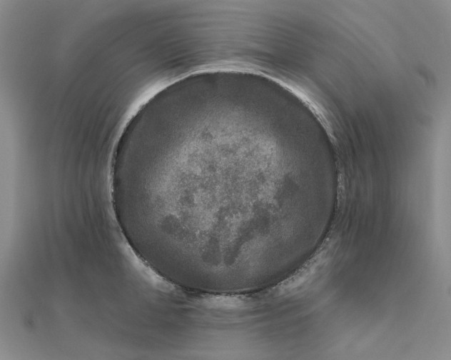 X0000111790998200908061133