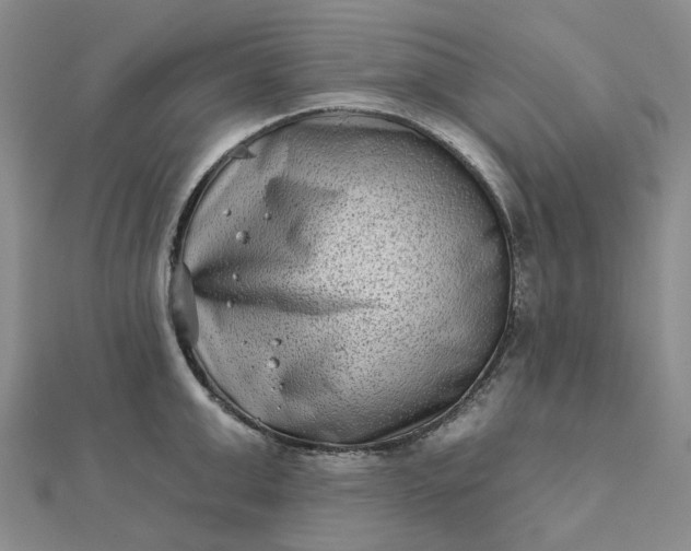 X0000111790999200908061133