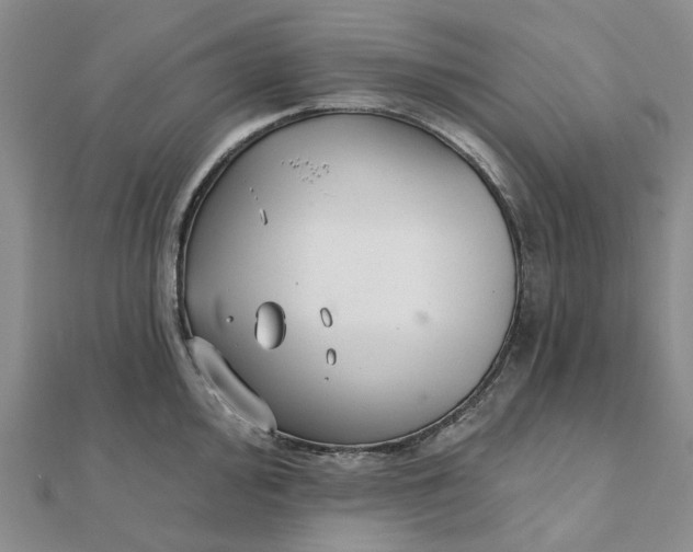 X0000111791000200908061133