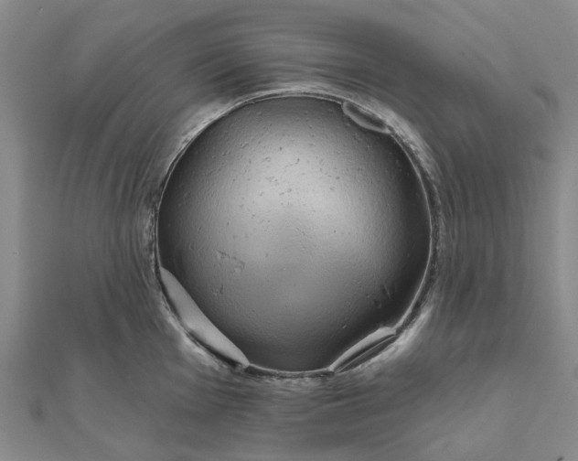 X0000111791001200908061132