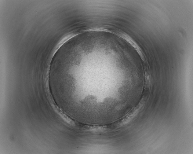 X0000111791002200908061132