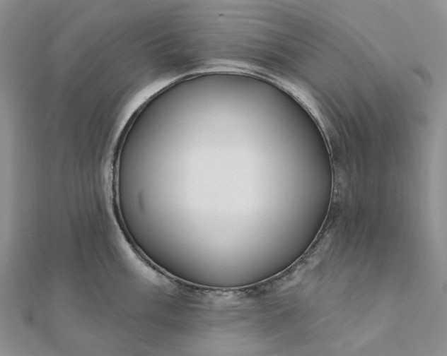 X0000111791003200908061132