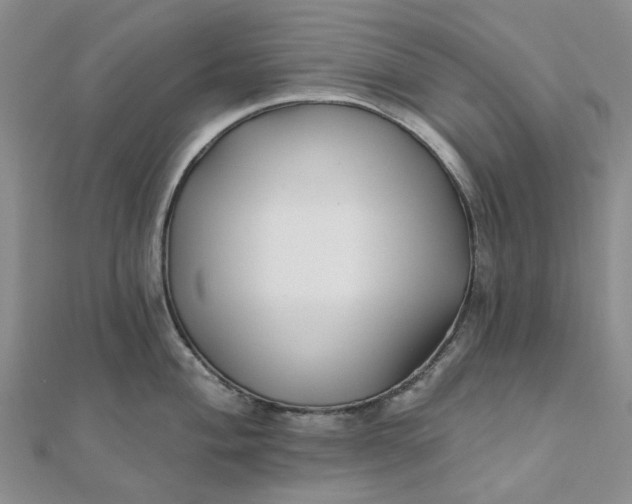 X0000111791004200908061132