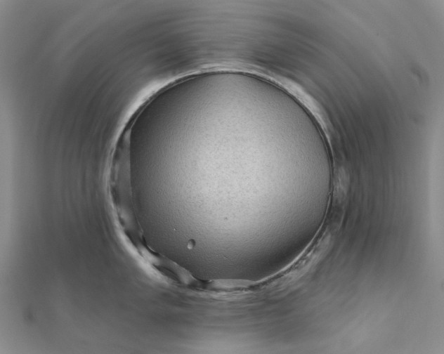 X0000111791005200908061132